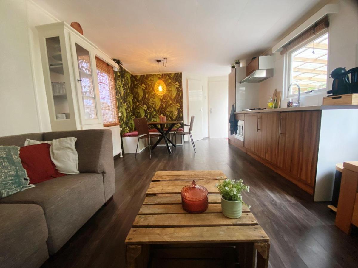 Chalet With Access To The Woods - No 147 Anloo Екстериор снимка
