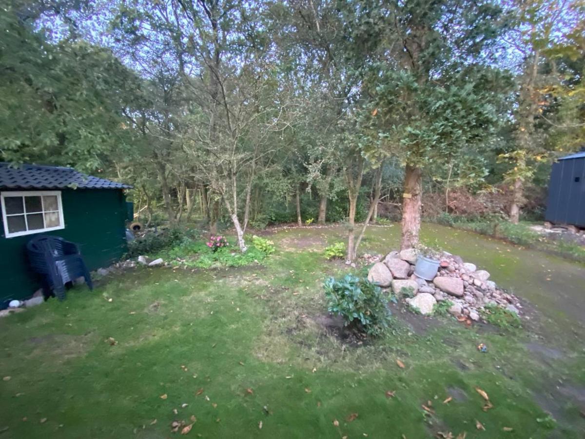 Chalet With Access To The Woods - No 147 Anloo Екстериор снимка